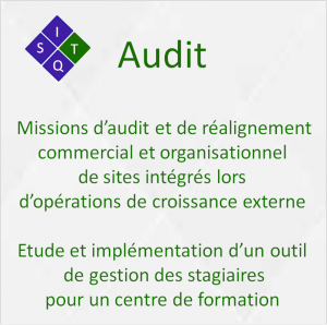 Web audit new